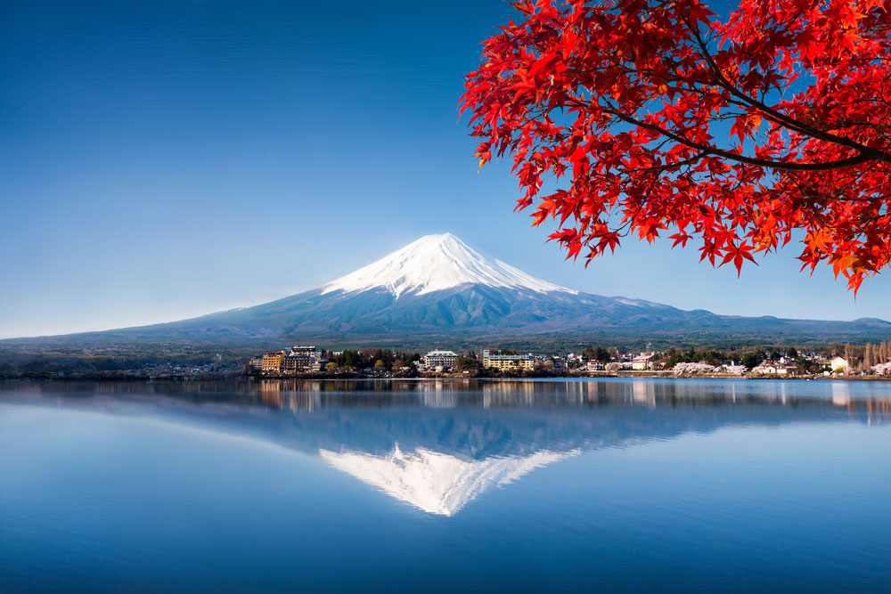 fuji fuji