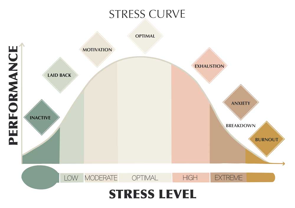 The Yerkes-Dodson Stress Curve illustrating how moderate stress leads to optimal performance, while extreme stress causes anxiety and burnout.